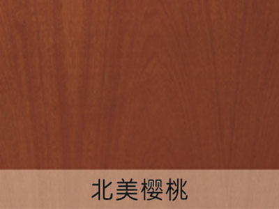 欧式贴面板