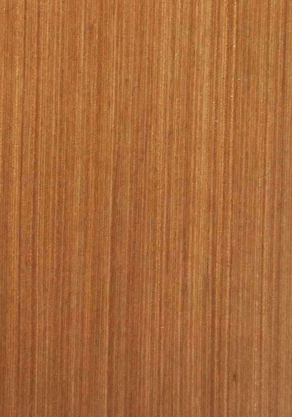 K6249 柚木直纹