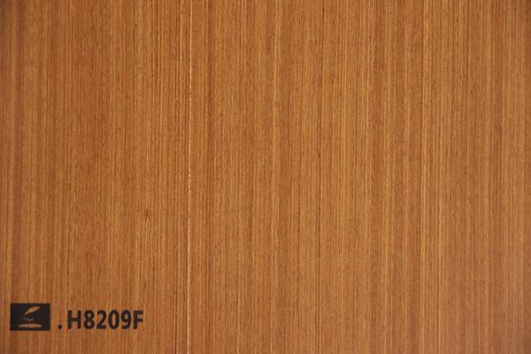 H8209F 柚木直纹
